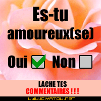 amoureux(se)